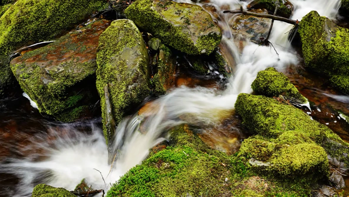 Flowing stream cascading over moss-covered rocks with long exposure technique creating silky water effect.