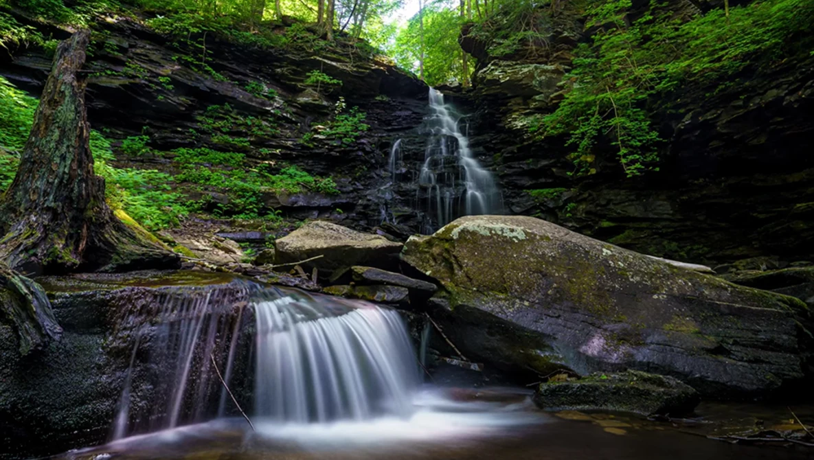 Multi-tiered waterfall flowing through a lush forest ravine with moss-covered rocks and layered slate walls.