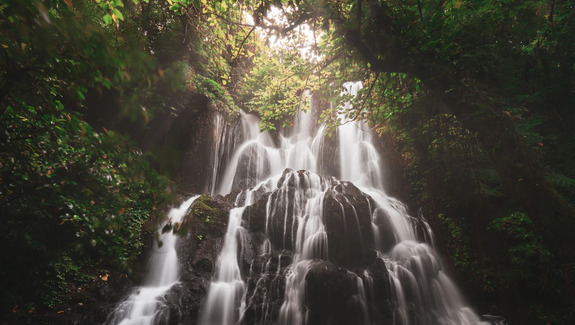 Multi-tiered waterfall cascading through dense green foliage in soft, diffused light.