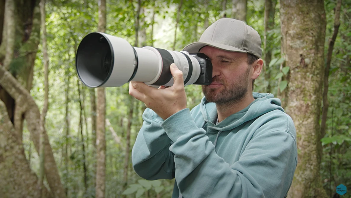 Photographer with telephoto lens in forest setting, wearing gray hoodie and cap.