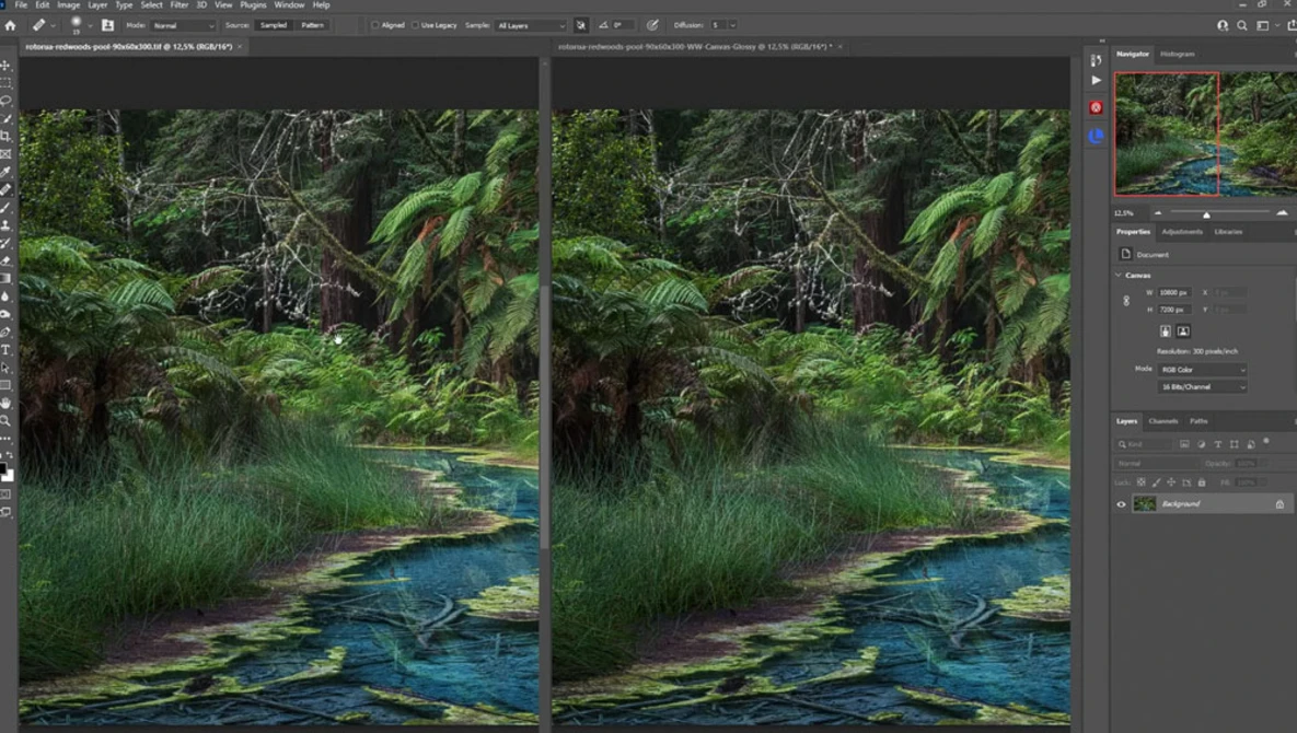 Screenshot of Photoshop showing before and after comparison of a lush forest stream with color grading adjustments.