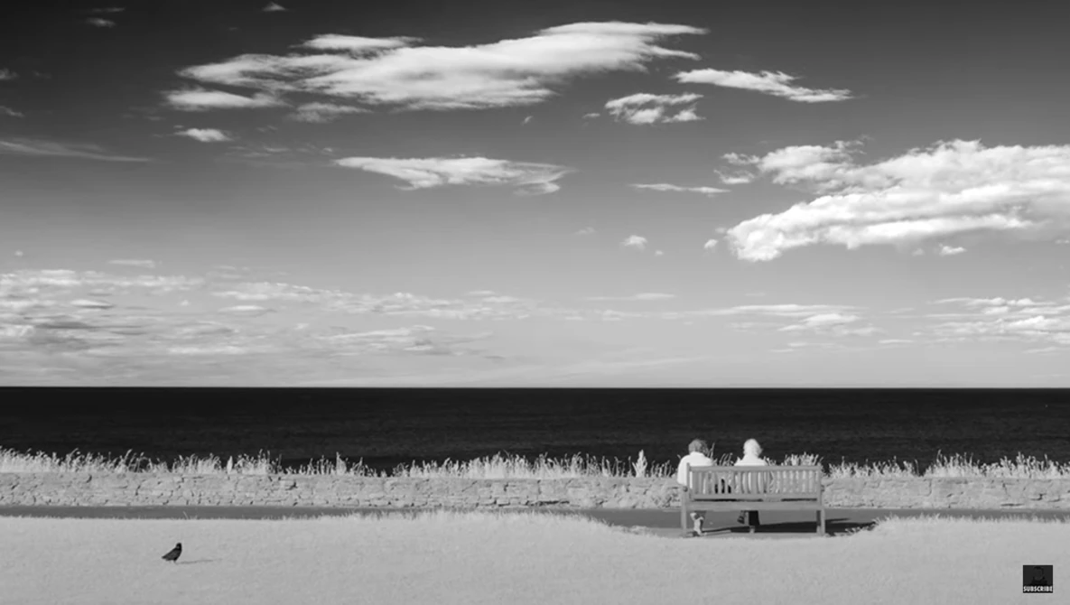 Black and white landscape with a solitary bench on a flat shoreline, framed by tall reeds and calm water.