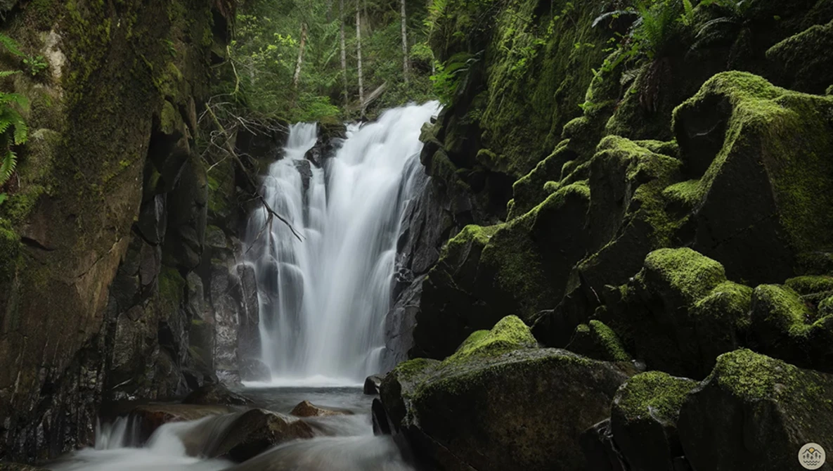Cascading waterfall flows through moss-covered rocky gorge surrounded by dense forest.