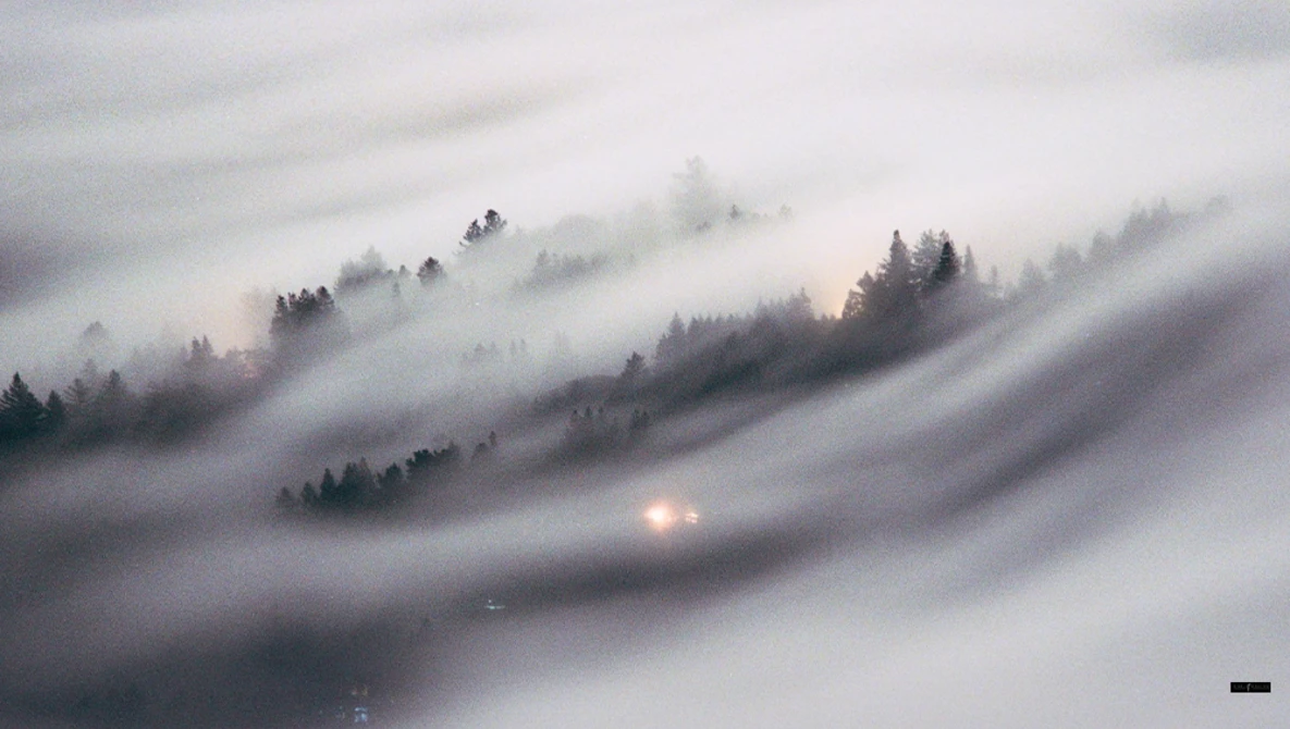 Headlights pierce through dense fog rolling across forested hillsides at dusk.