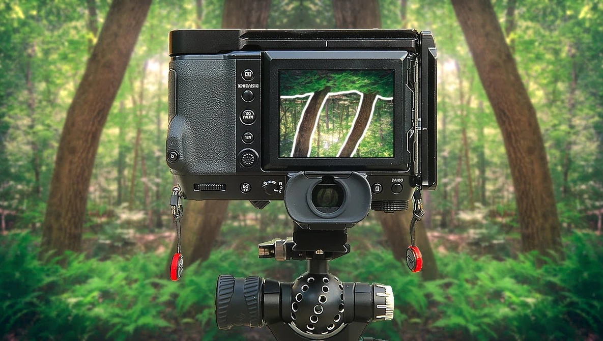 Large format camera with digital back mounted on tripod in forest setting.