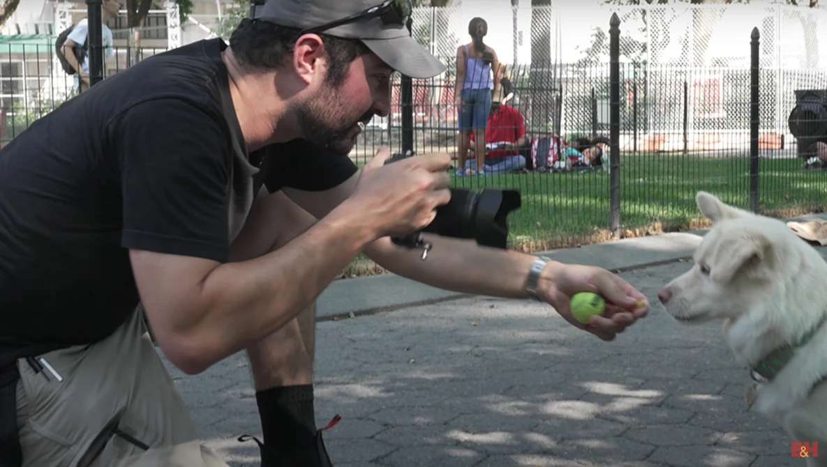 Man crouching to feed a white dog a green treat at an outdoor dog park.