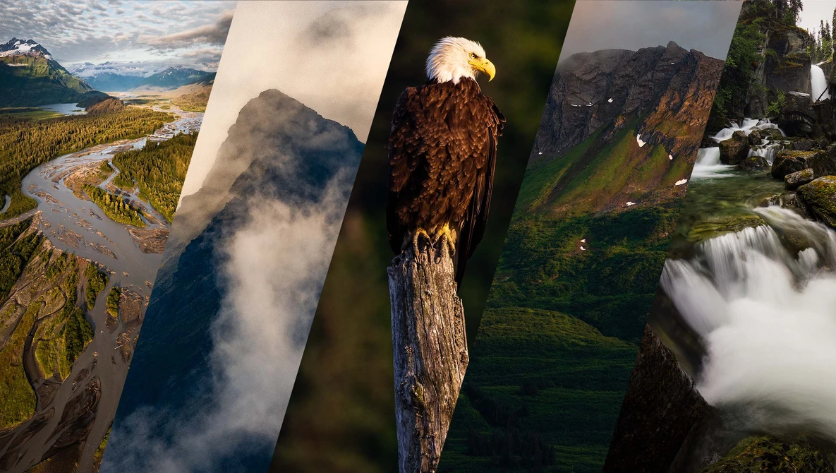 Collage of five landscape and wildlife photographs featuring mountains, a bald eagle, river valleys, and a waterfall.