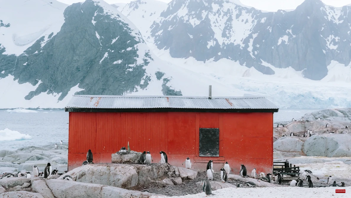 Bright red building on rocky Antarctic shore with snow-covered mountains and penguins nearby.