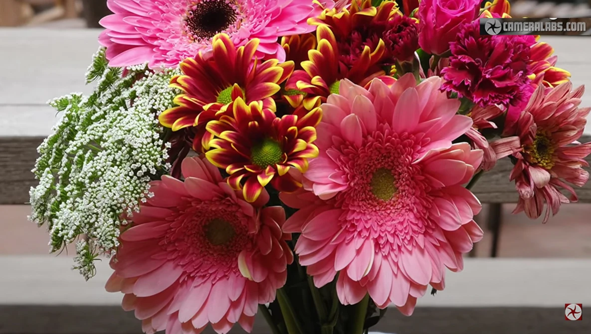 Vibrant bouquet of pink gerbera daisies and red-yellow chrysanthemums with white baby's breath filler.