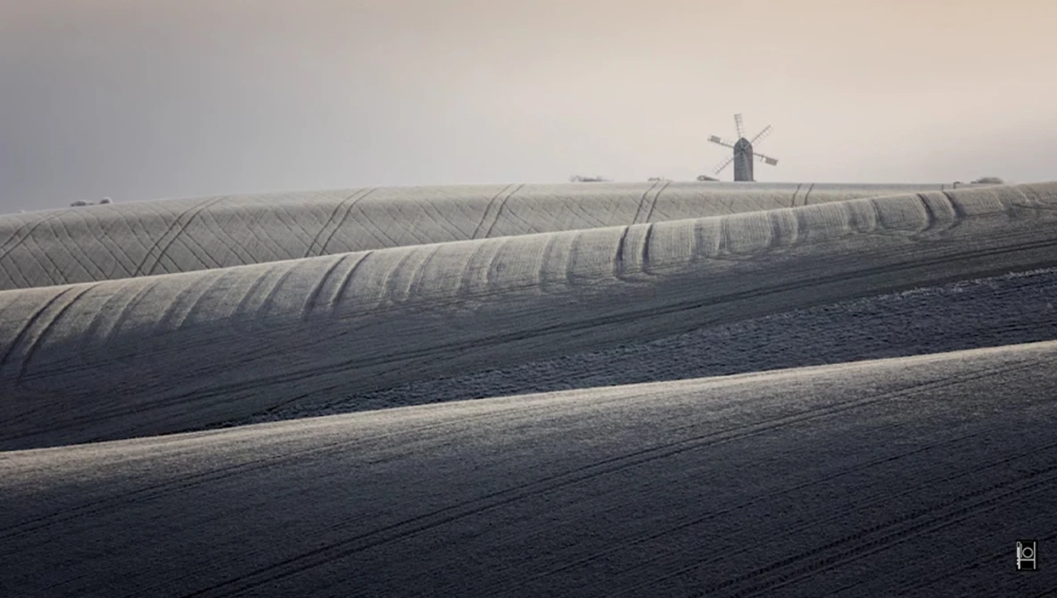 Rows of white mesh crop covers stretch across dark soil with a windmill visible in the distant misty background.