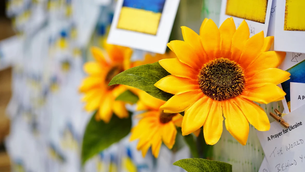 Bright yellow sunflowers with dark centers in sharp focus against a blurred background of blue and yellow sticky notes.