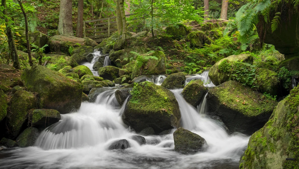 Forest stream cascading over moss-covered boulders with long exposure blur effect.