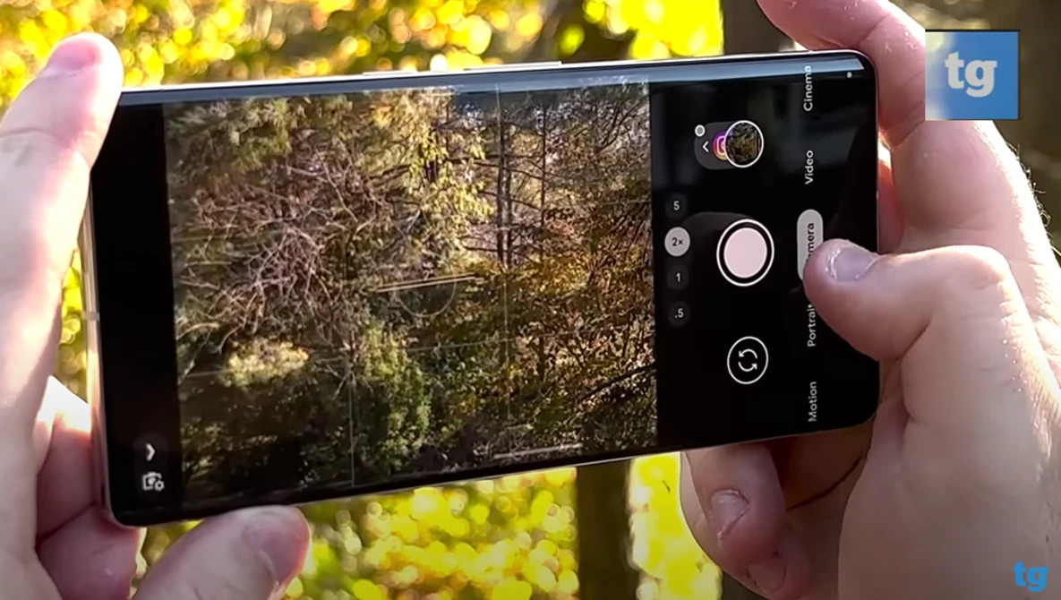 Screenshot of smartphone camera app displaying forest canopy with manual exposure controls visible on right side.