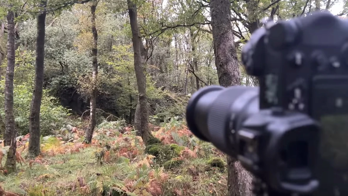 Camera with telephoto lens aimed at deer in autumn forest clearing.