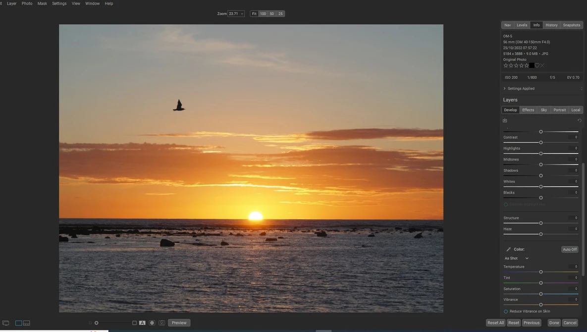 Golden sunset over ocean horizon with a bird in flight and rocky coastline in foreground.