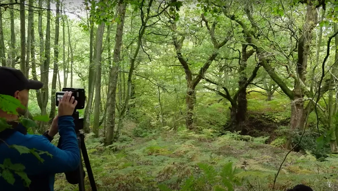Photographer with camera on tripod capturing forest landscape with tall trees and dappled light.