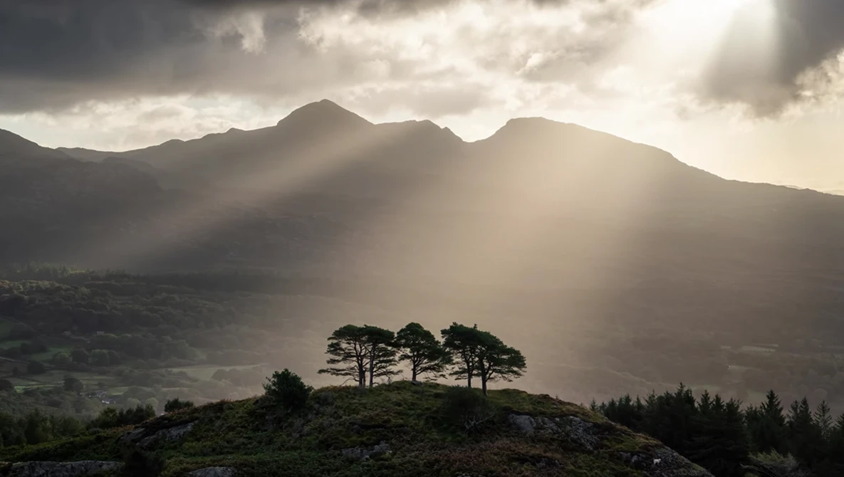 Silhouetted trees on a hilltop with dramatic god rays from stormy sky and mountains in background.