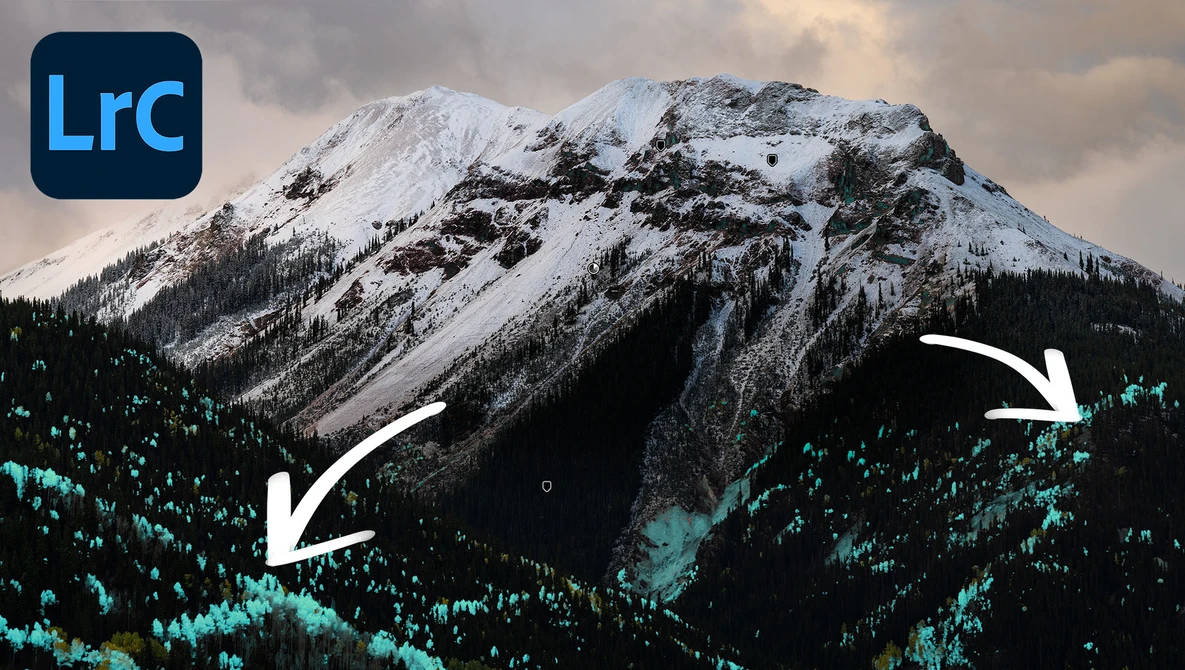 Snow-capped mountain peak with forested slopes highlighted in cyan during post-processing.