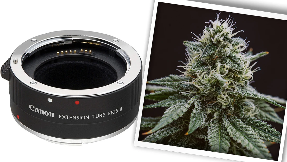 Extension Tubes: They May Save You From Spending Thousands | Fstoppers