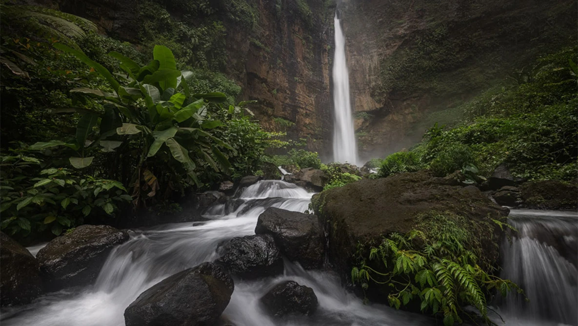 Waterfall cascading through a lush jungle gorge with flowing stream and moss-covered rocks in foreground.