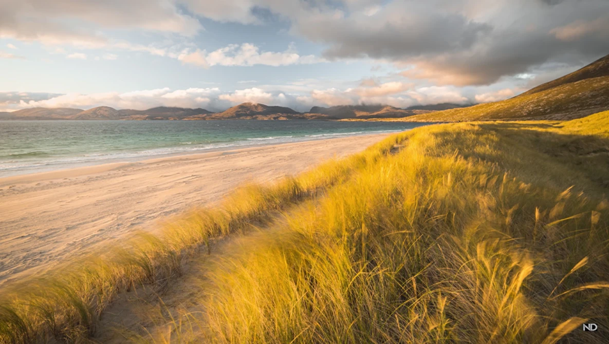 Golden dune grass in foreground with sweeping beach, turquoise ocean, and mountains under dramatic sunset clouds.