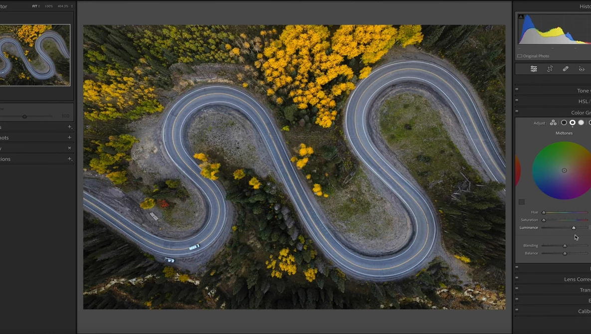 Aerial view of a winding road through a forest with yellow flowering trees and grassy clearings.