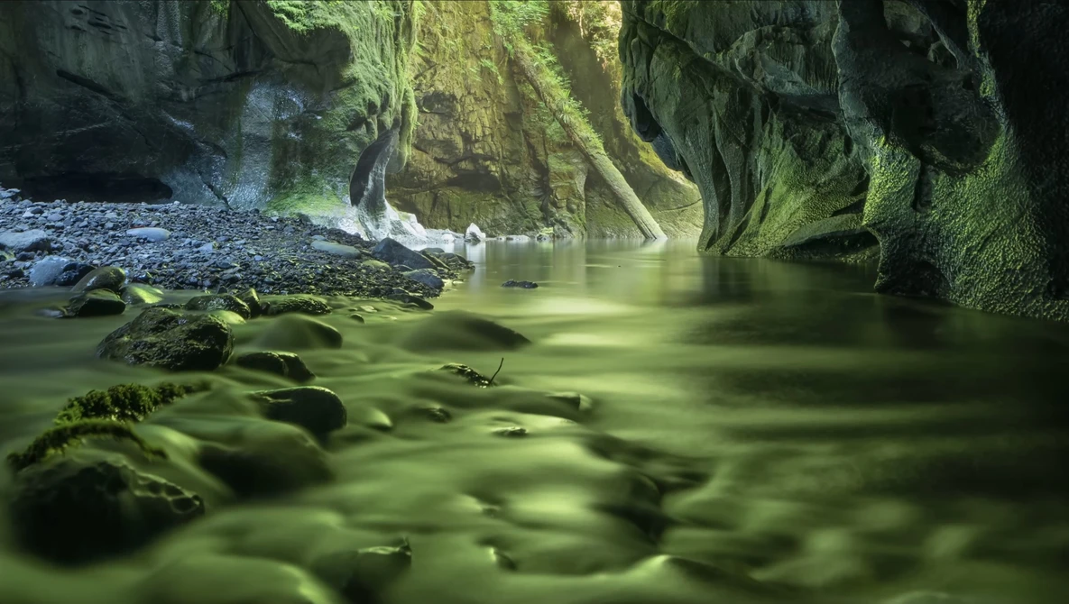 Moss-covered canyon walls frame a flowing stream with silky water captured using long exposure photography.