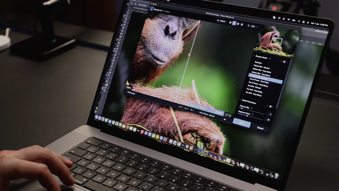 Screenshot of photo editing software displaying close-up wildlife imagery of small mammals with green background during post-processing.