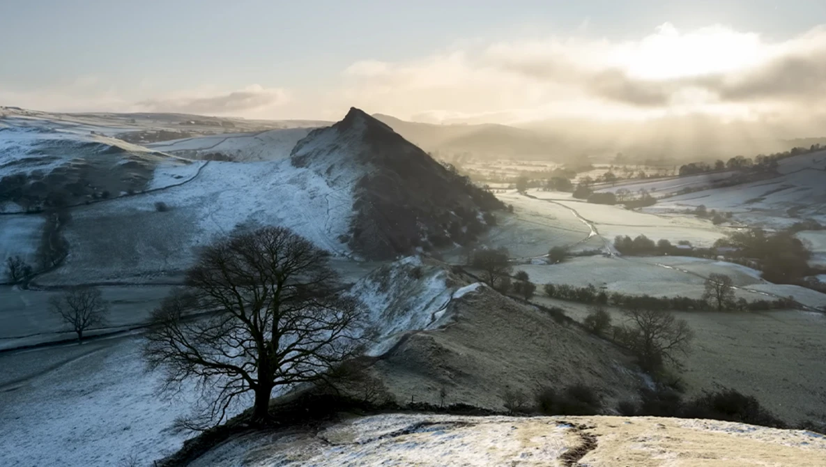 Snow-covered hill with bare tree in foreground overlooking frost-laden valley landscape under winter sky.