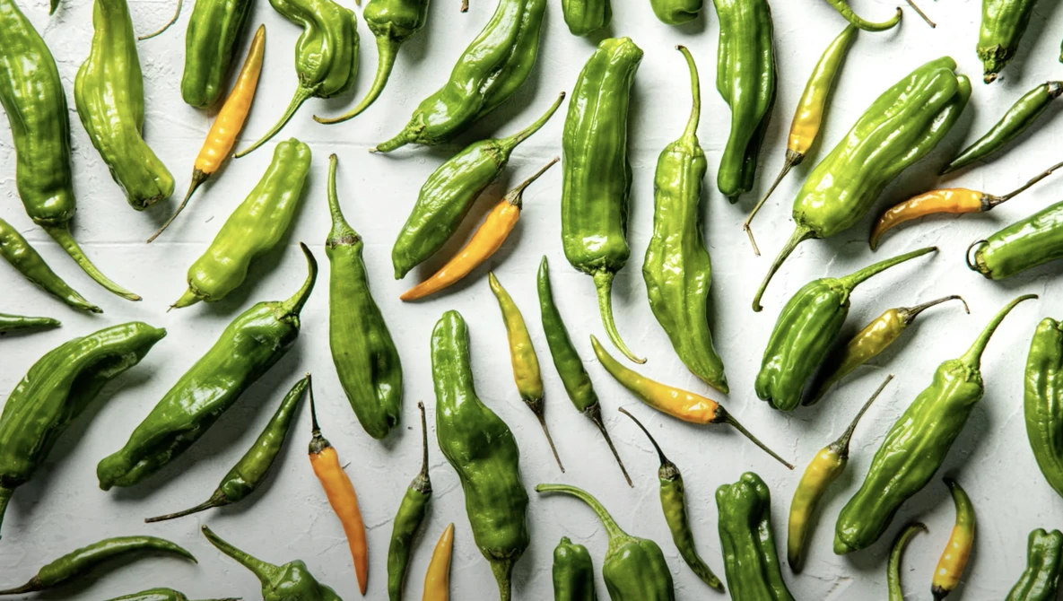 Green and yellow serrano peppers arranged on a white surface.