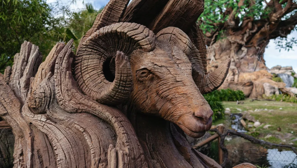 Wooden carved goat head sculpture with curved horns and detailed facial features in natural lighting.