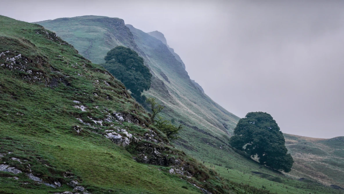 Rolling green hillside with exposed rock outcrops and two solitary trees beneath overcast sky.