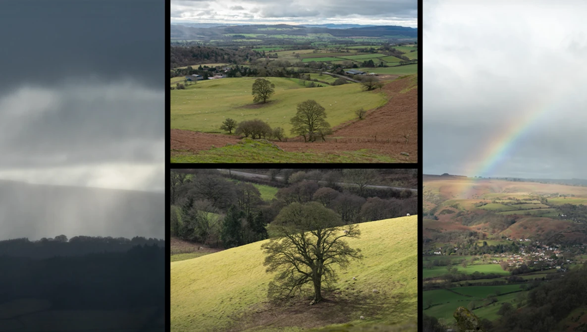 Collage of rural British countryside scenes with rolling hills, scattered trees, and dramatic cloud formations.