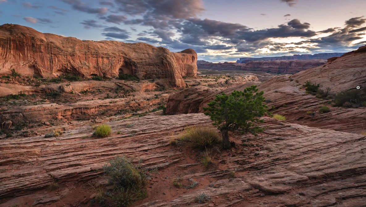 Desert landscape at sunset with layered red rock formations and sparse vegetation on slickrock terrain.
