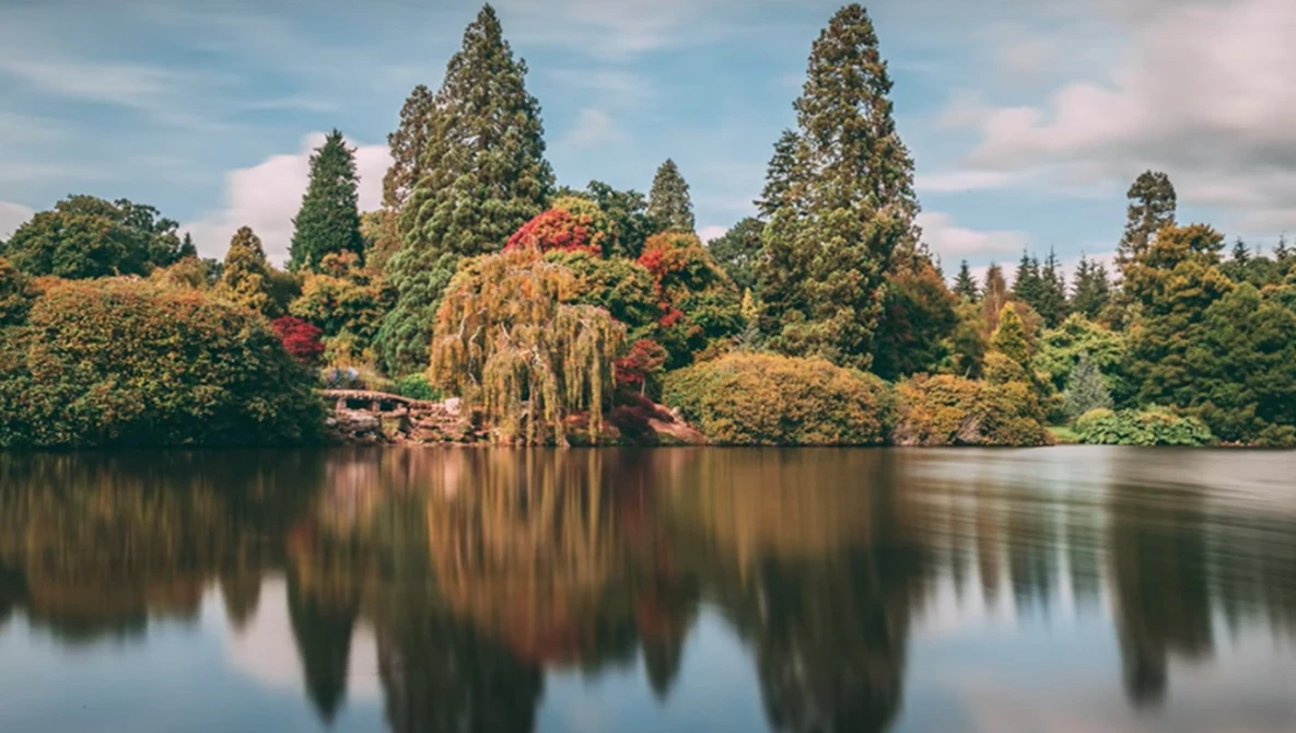 Lakeside landscape with autumn trees mirrored in still water and evergreen conifers in background.