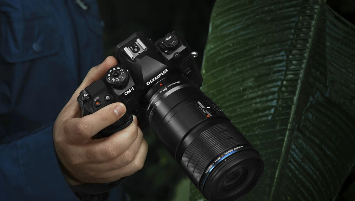 Photographer holding a DSLR camera with telephoto lens in low-light conditions near green foliage.