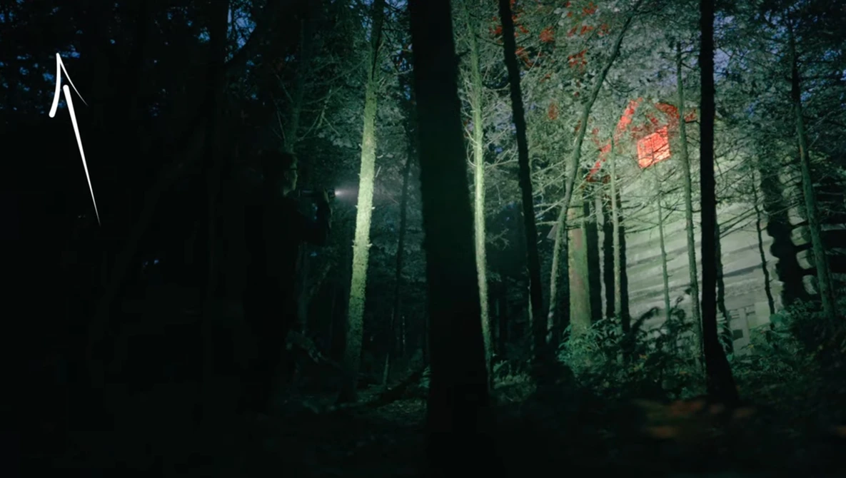 Dark forest scene with tall trees silhouetted against misty light filtering through canopy.