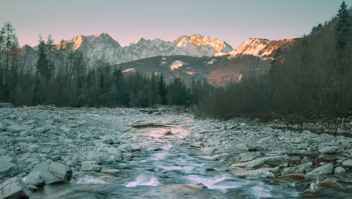 Mountain river flowing through a forested valley at sunrise, with snow-covered peaks glowing in golden light.