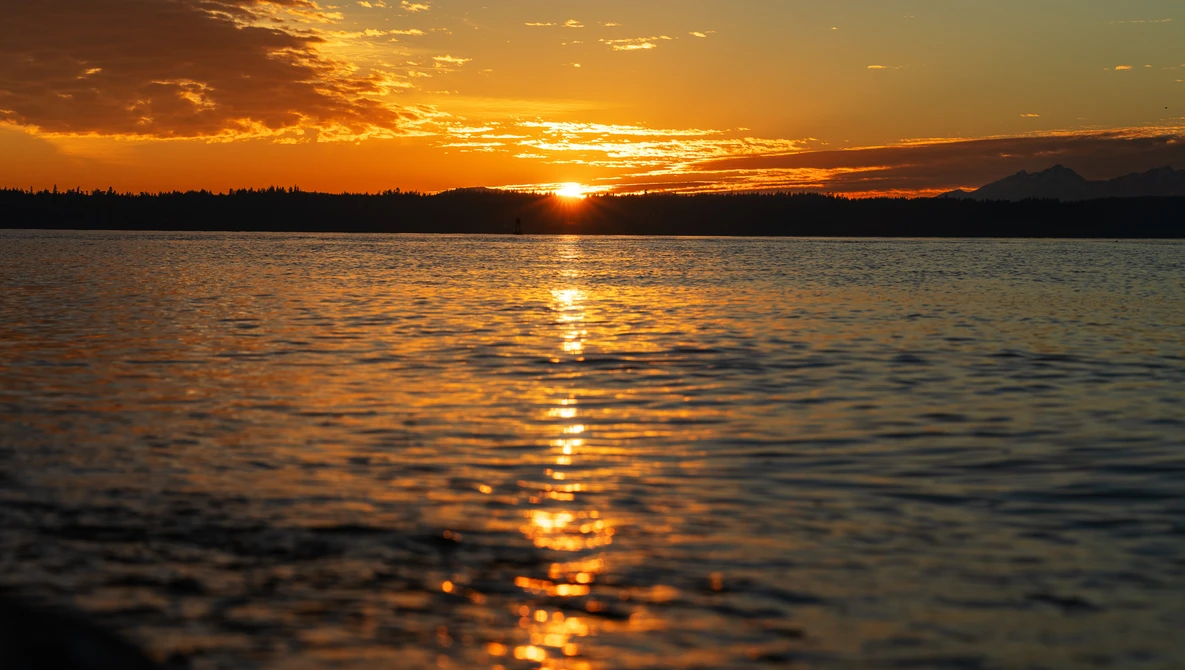 Golden sunset reflecting across calm water with silhouetted treeline on horizon.