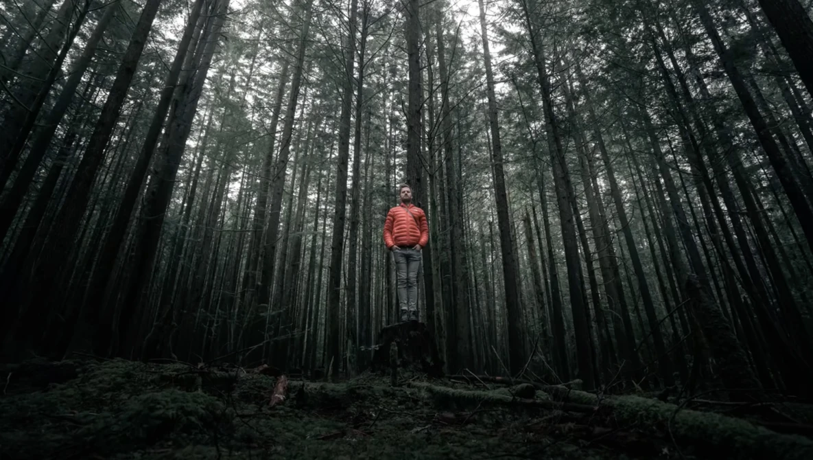 Hiker in red jacket standing centered among towering dark evergreen trees in dense forest.