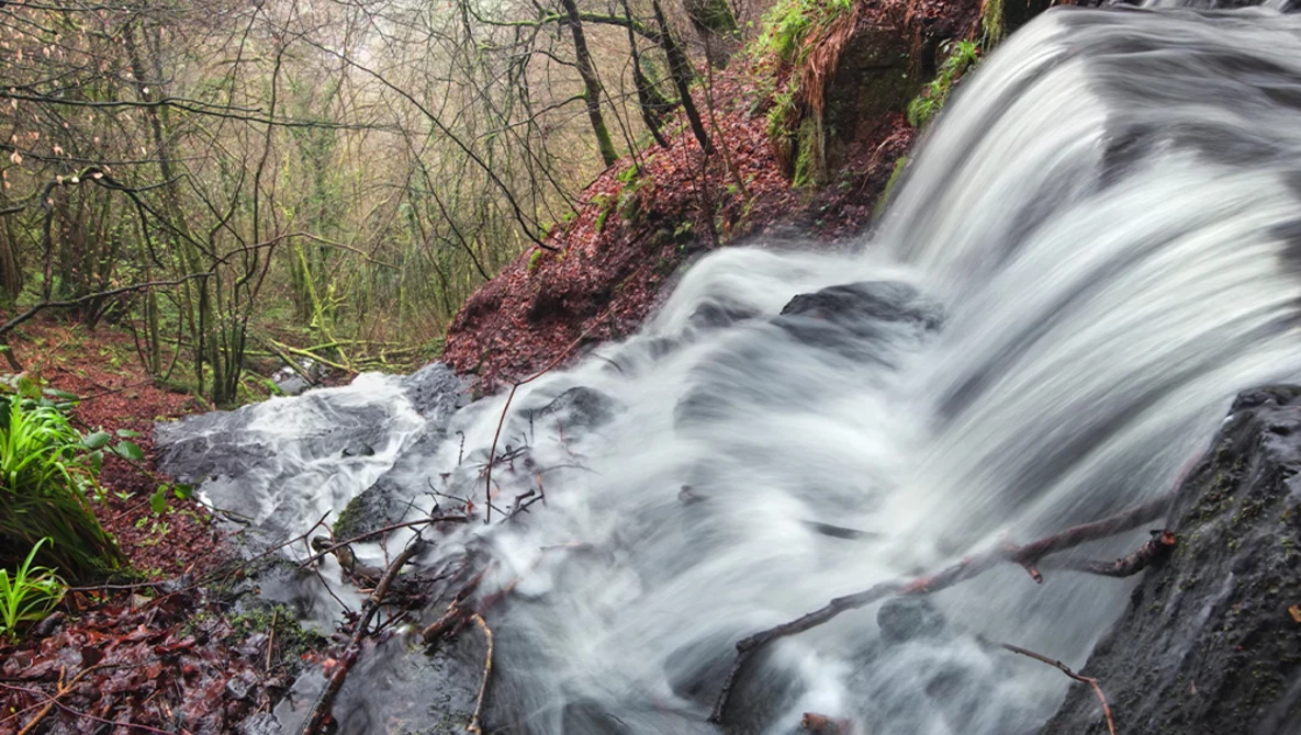 Forest stream cascading over moss-covered rocks with long exposure motion blur effect.