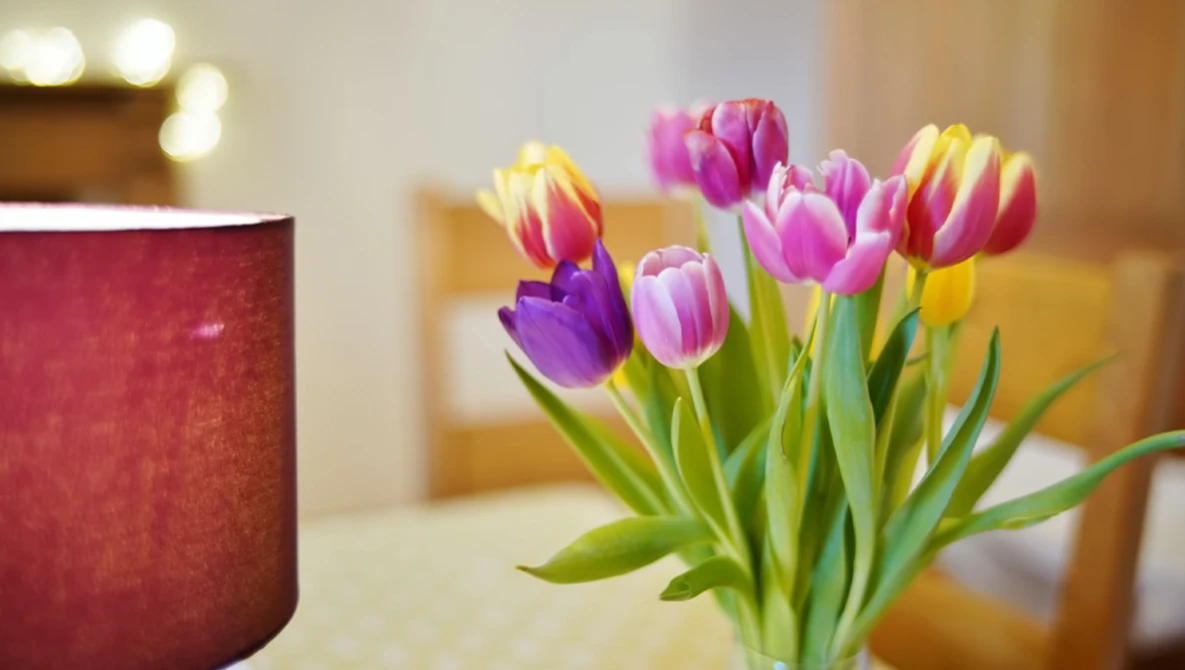 Bouquet of pink, purple, and yellow tulips with green stems in a vase alongside a red cylindrical candle.