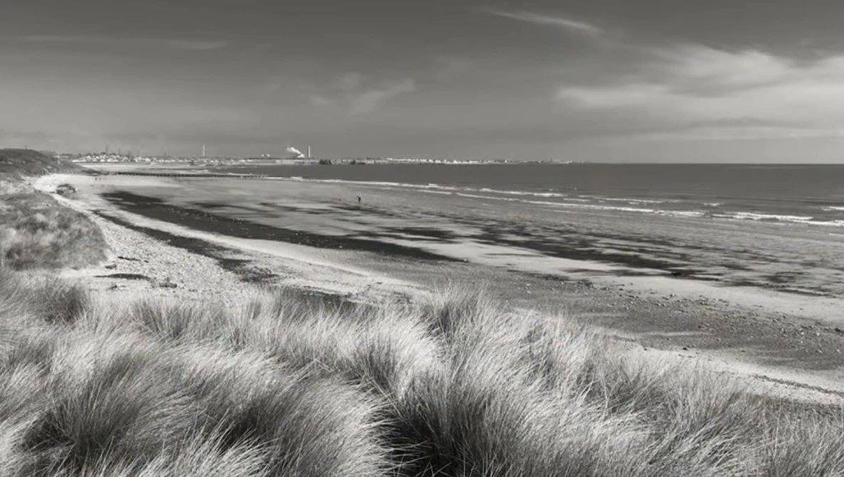 Coastal beach landscape with marram grass dunes in foreground and distant sea horizon under overcast sky.