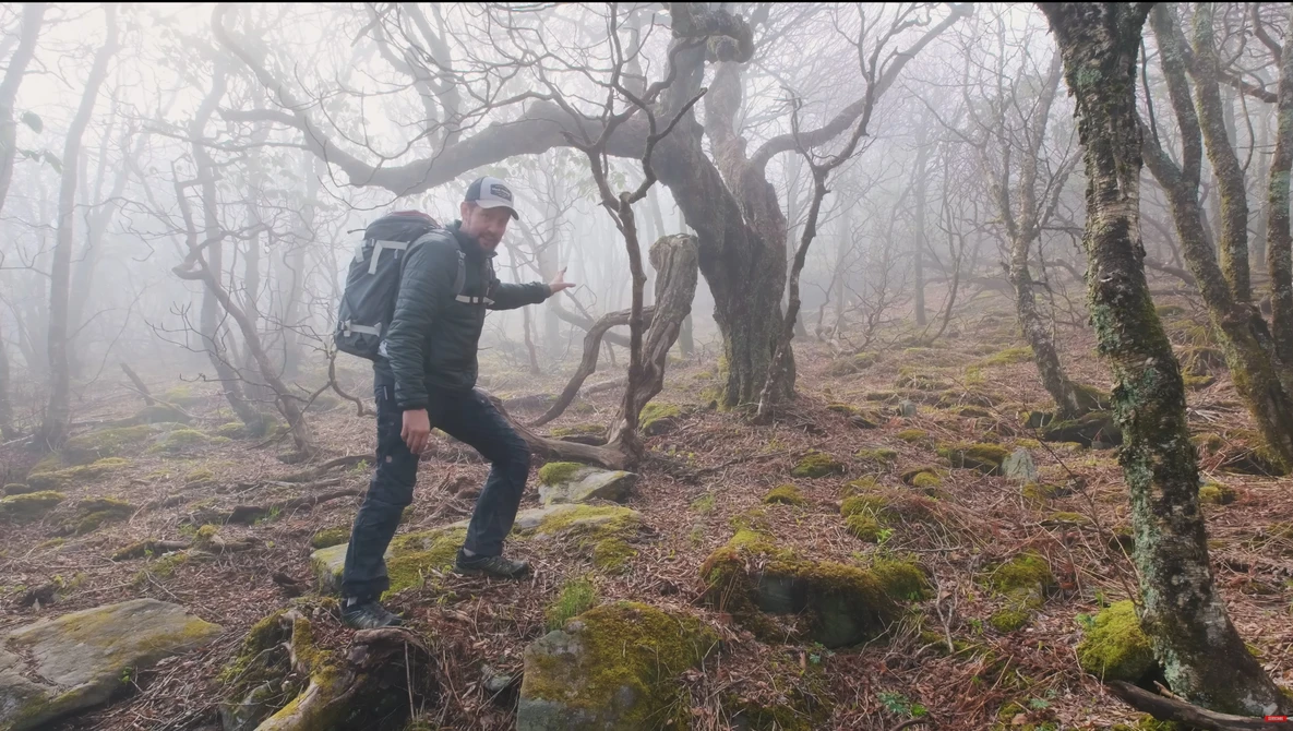 Hiker navigating rocky, moss-covered forest floor in heavy fog among bare deciduous trees.