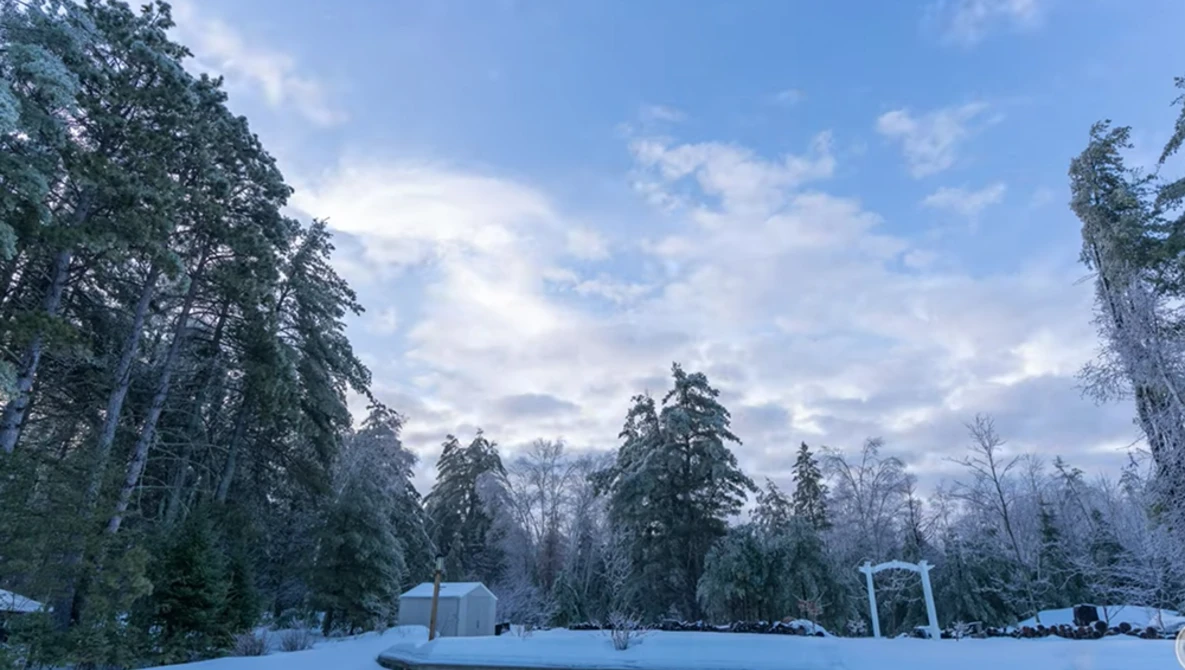 Snow-covered park clearing with coniferous trees and structures under partly cloudy winter sky.