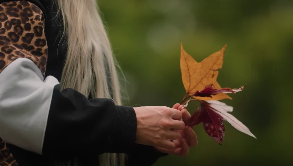 Person in black jacket holding autumn leaves with blurred green background.