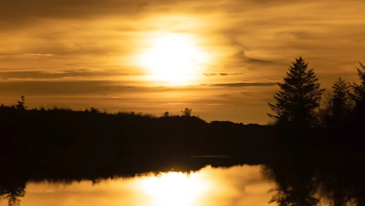 Golden sunset reflecting on a still lake with evergreen trees silhouetted against the sky.