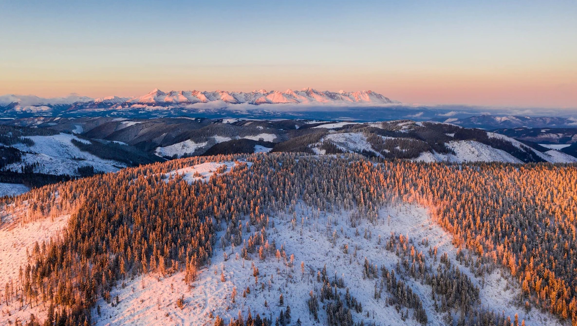Snow-covered forest hills at sunset with distant snow-capped mountain range glowing pink against twilight sky.