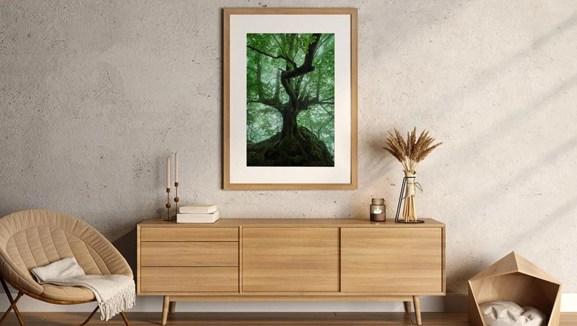 Framed photograph of a tree shot from below, displaying upward-looking composition with green canopy against darker trunk.