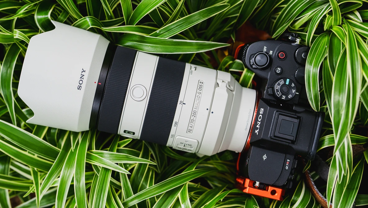 The Sony 70-200mm f/4 G II Takes a Huge Leap in Evolution: We